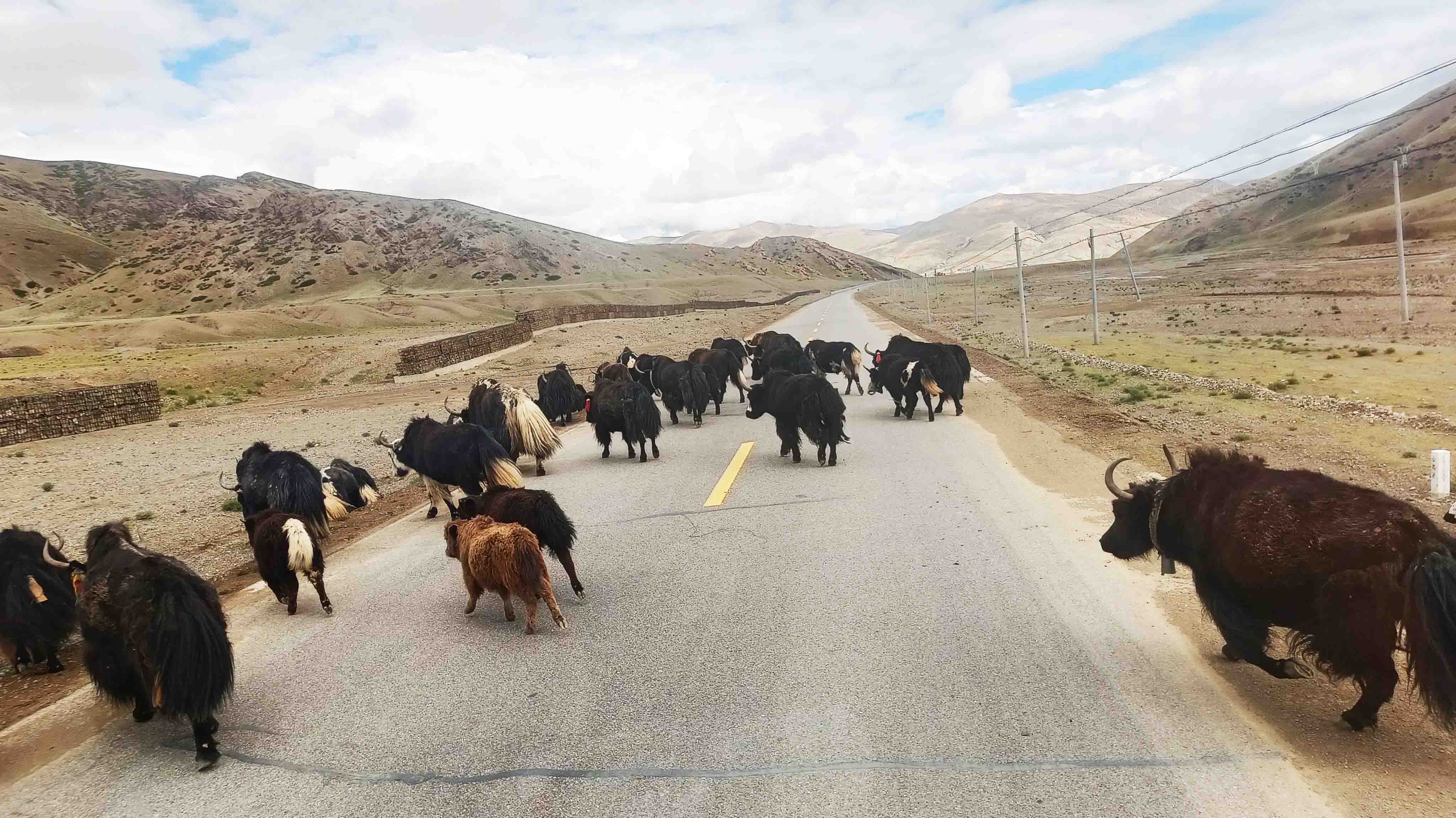 On the way to Manasarovar from Saga
